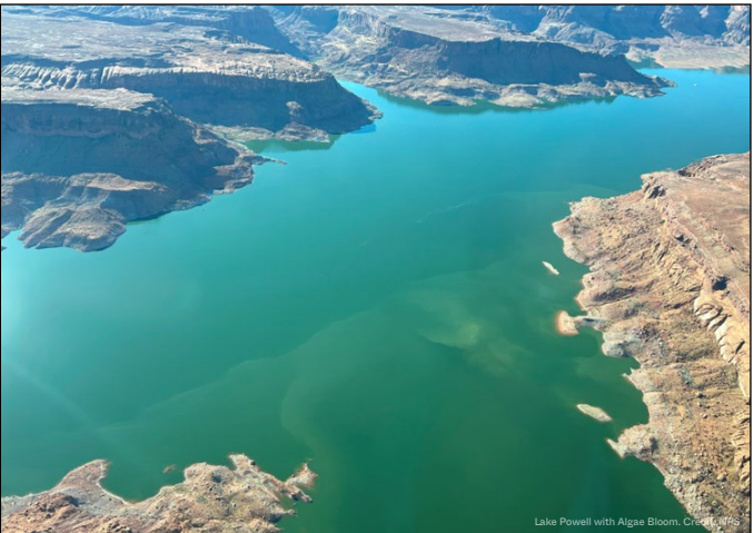 PRESS RELEASE: As Colorado River management faces federal deadline, new scientific report challenges ‘clean energy’ myth of Glen Canyon and Hoover dams 